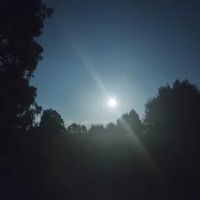 Happy Waterfall Pig Glamping Camp ico