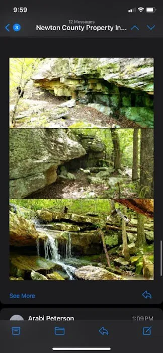 Happy Waterfall Pig Glamping Camp Picture 3