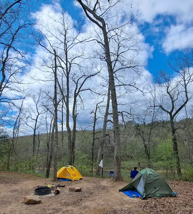 Ozark Campground Picture 7