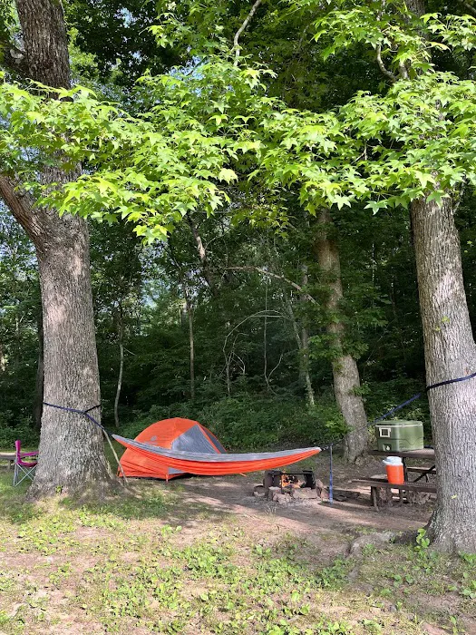Ozark Campground Picture 3