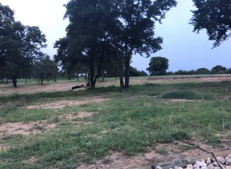 Home Again RV Park
