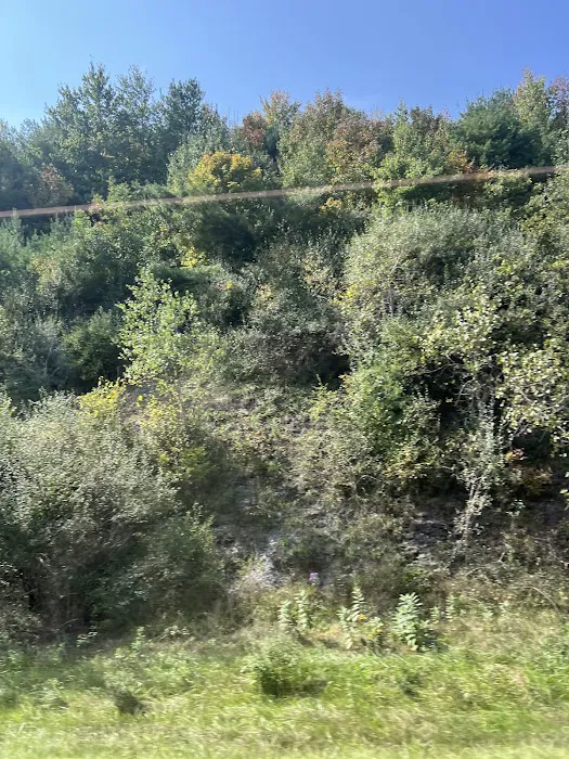 Route 81 RV Park Picture 2