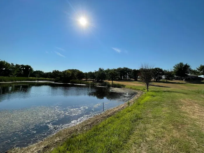 Route 81 RV Park Picture 4