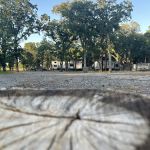 Trinity Oaks RV Park