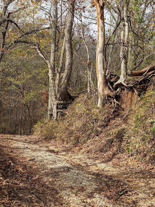Baker Ford Picture 10