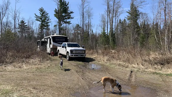 Boondocking Campsite Picture 1