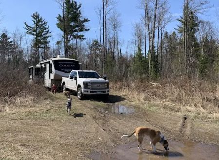 Boondocking Campsite