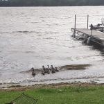 Island Lake Campground