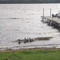 Island Lake Campground ico