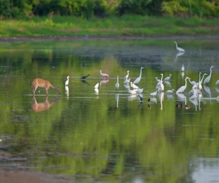 RV PARK FORT WORTH