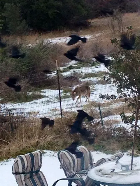 Lake Worth RV Ranch Picture 8