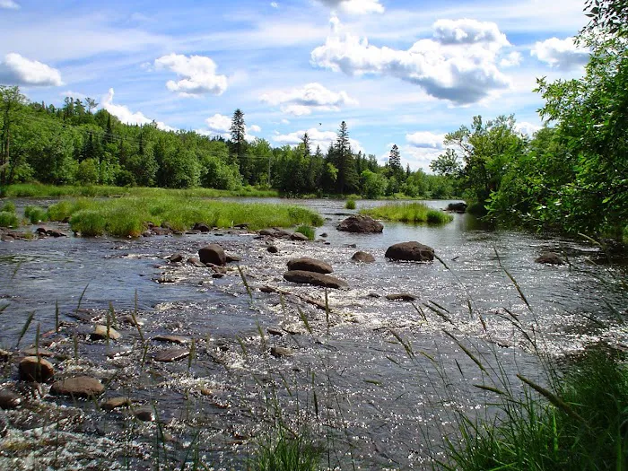 Cloquet River Campground Picture 1