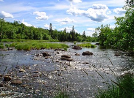 Cloquet River Campground