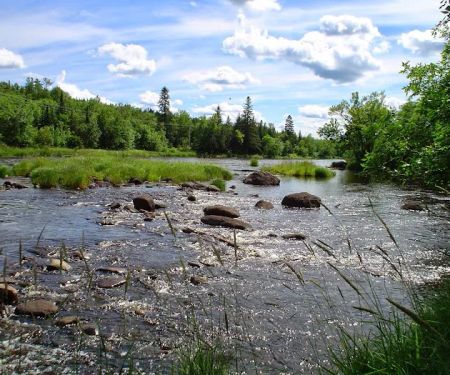 Cloquet River Campground
