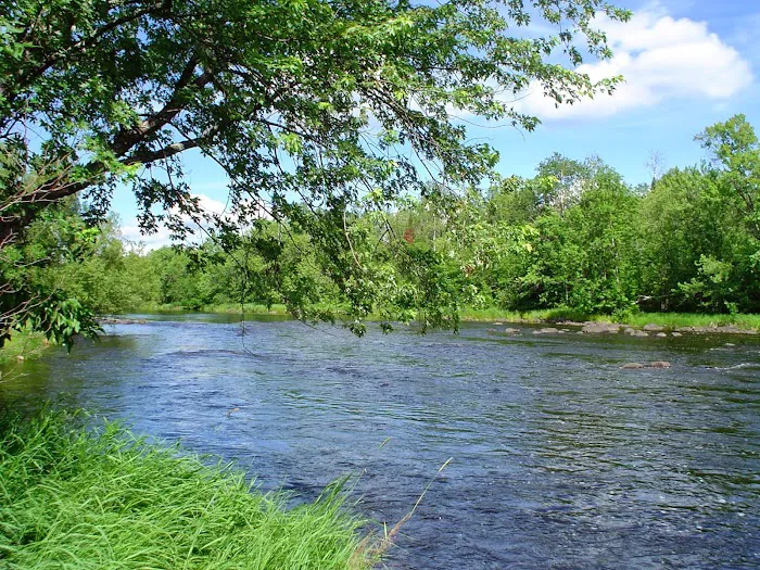 Cloquet River Campground Picture 10