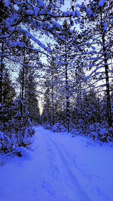 Timberline Campground Picture 7