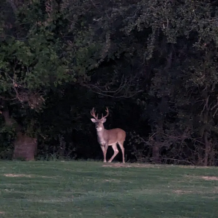 Eagles Resorts RV Park Picture 9
