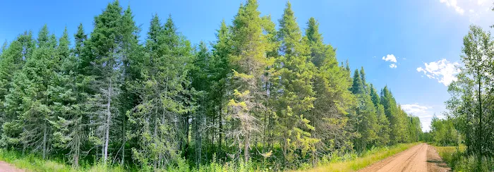 Moosehorn Campground Picture 7