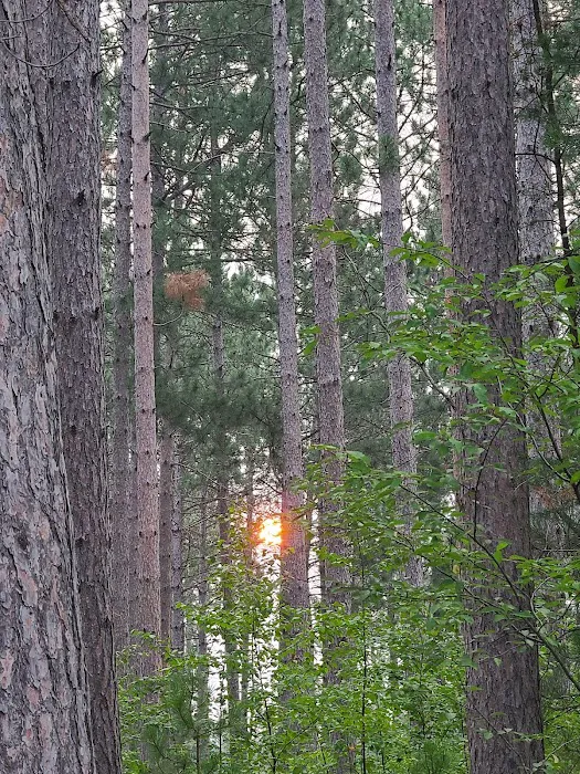 Willow River Campground Picture 5