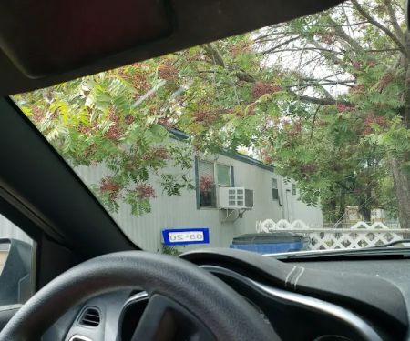 Avalon Mobile Home Park