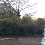Shady Hill RV Park