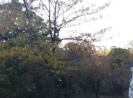 Shady Hill RV Park