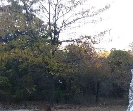 Shady Hill RV Park