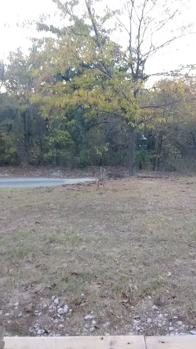 Shady Hill RV Park Picture 4