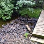 McCarthy Creek Camp