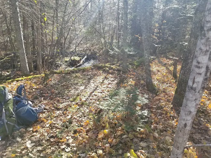 McCarthy Creek Camp Picture 9