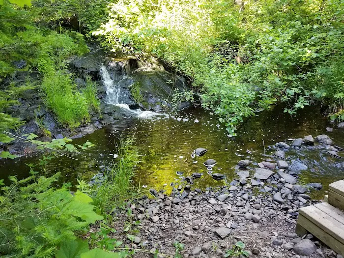 McCarthy Creek Camp Picture 8