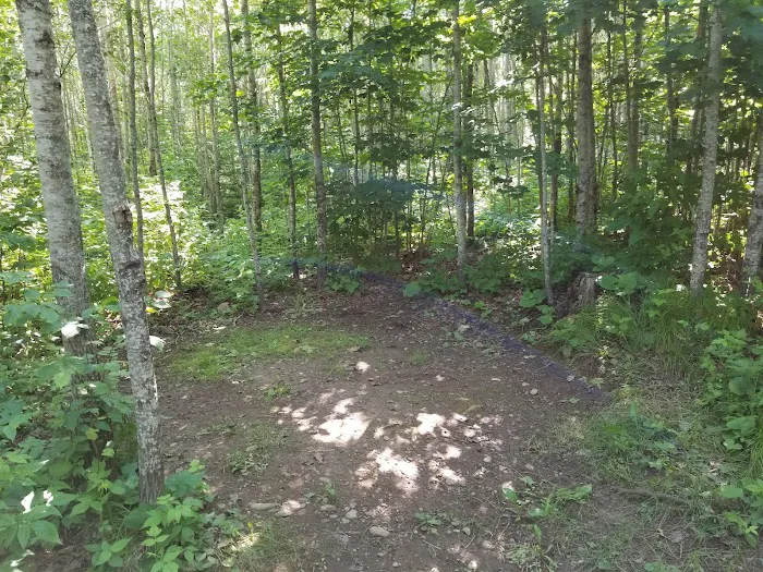 McCarthy Creek Camp Picture 2