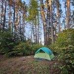 Buzz Ryan Campground