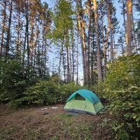 Buzz Ryan Campground ico