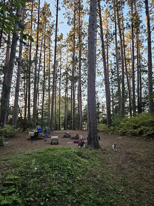 Buzz Ryan Campground Picture 3