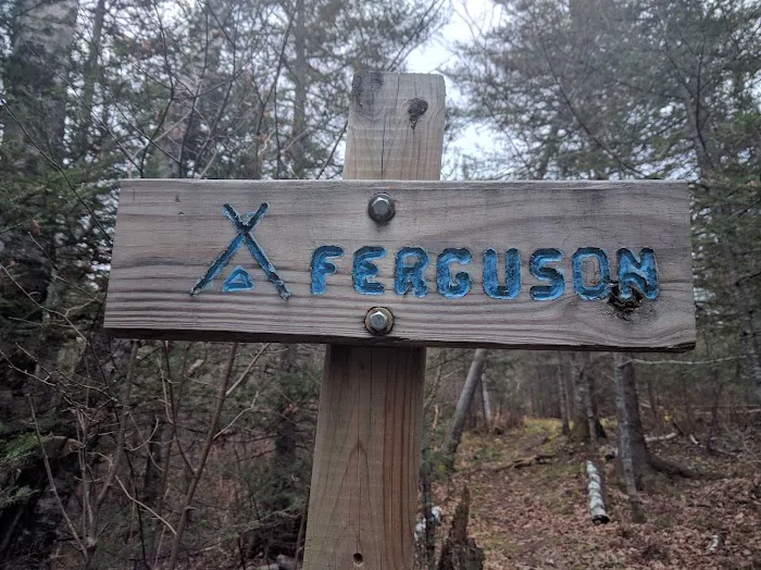 Ferguson Camp Picture 3