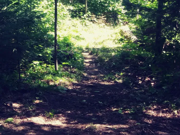 Reeves Falls Camp Picture 7