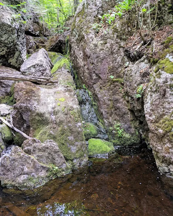 Reeves Falls Camp Picture 5