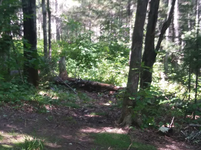 Reeves Falls Camp Picture 1