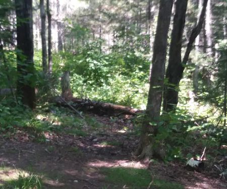 Reeves Falls Camp