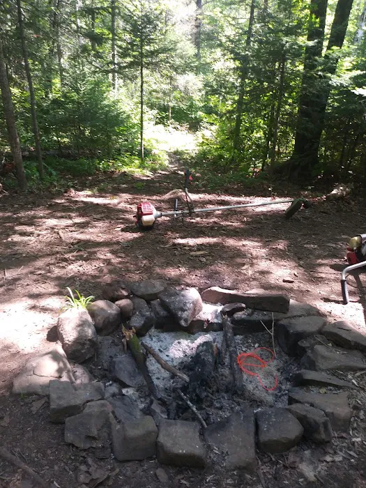 Reeves Falls Camp Picture 2