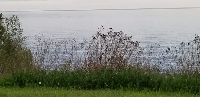 Burlington Bay Campground Picture 7