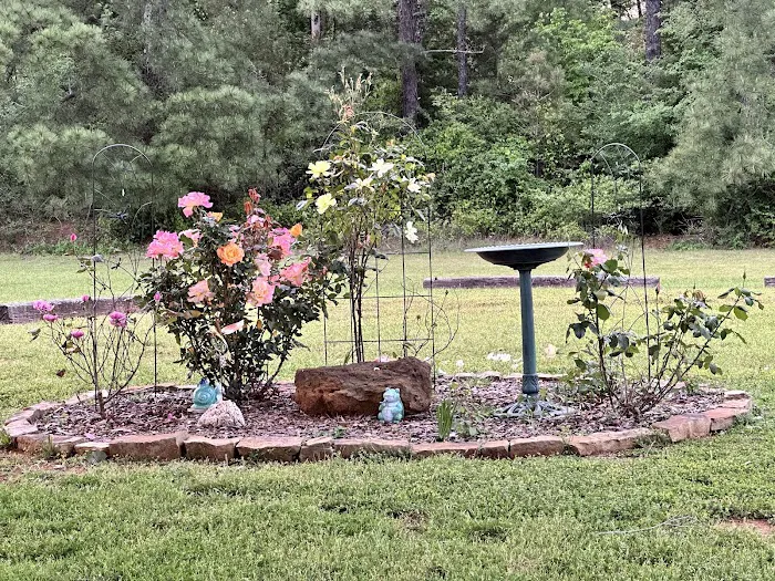 Western Pines RV Park Picture 2