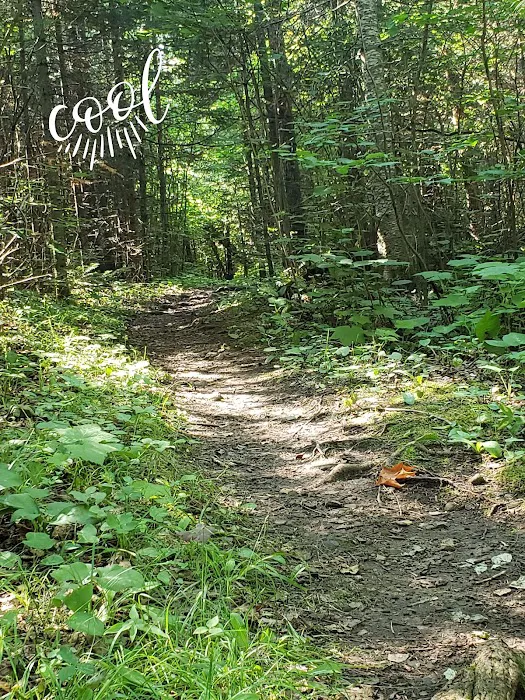 Crow Valley Camp Picture 1