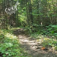 Crow Valley Camp ico