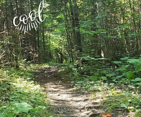 Crow Valley Camp