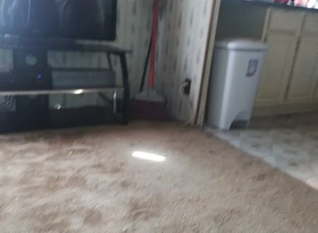 Pine Forest Mobile Home Park