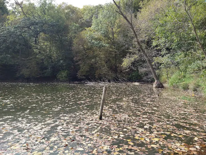 Hohneke Pond site #1 Picture 6