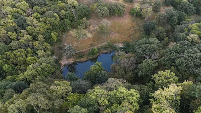 Hohneke Pond site #1 Picture 5