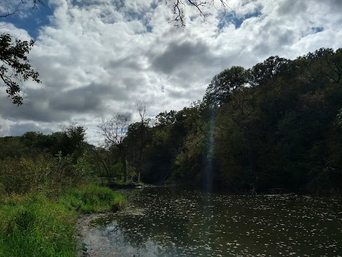 Hohneke Pond site #1 Picture 9